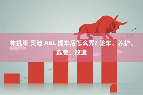 神机策 奥迪 A6L 提车后怎么弄? 验车、养护、选装、改造