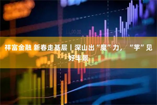 祥富金融 新春走基层丨深山出“魔”力， “芋”见好丰景